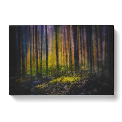 Forest Dreams Painting Canvas Print Main Image