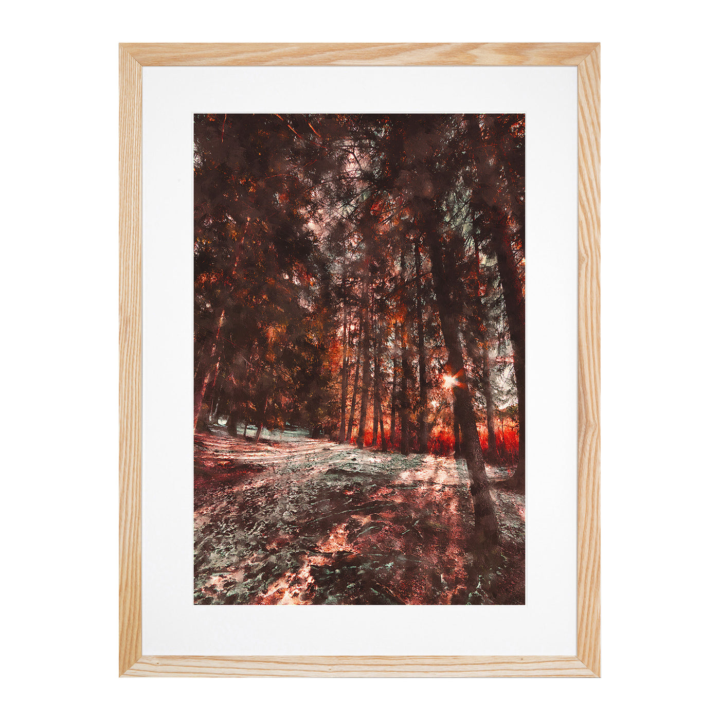 Forest Sunlight