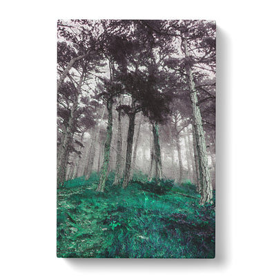 Forest In Russia Canvas Print Main Image