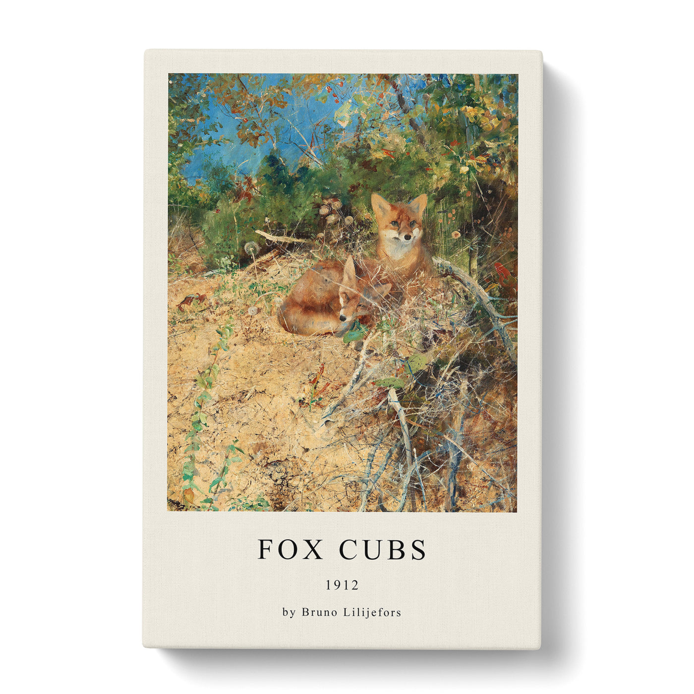 Fox Cubs Print By Bruno Liljefors Canvas Print Main Image