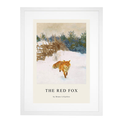 Fox In The Snow Vol.1 Print By Bruno Liljefors