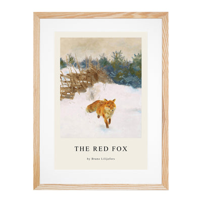 Fox In The Snow Vol.1 Print By Bruno Liljefors