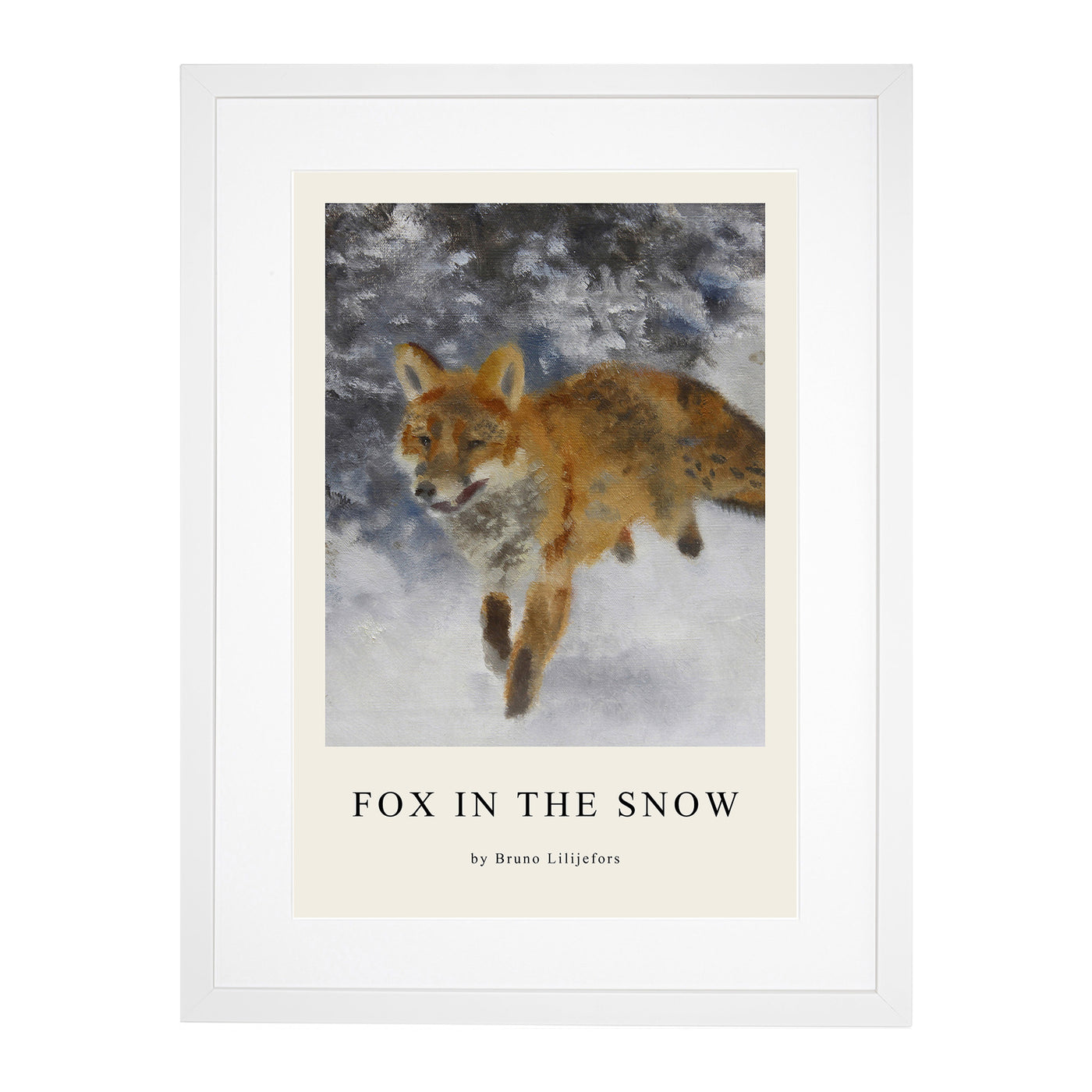 Fox In The Snow Vol.3 Print By Bruno Liljefors