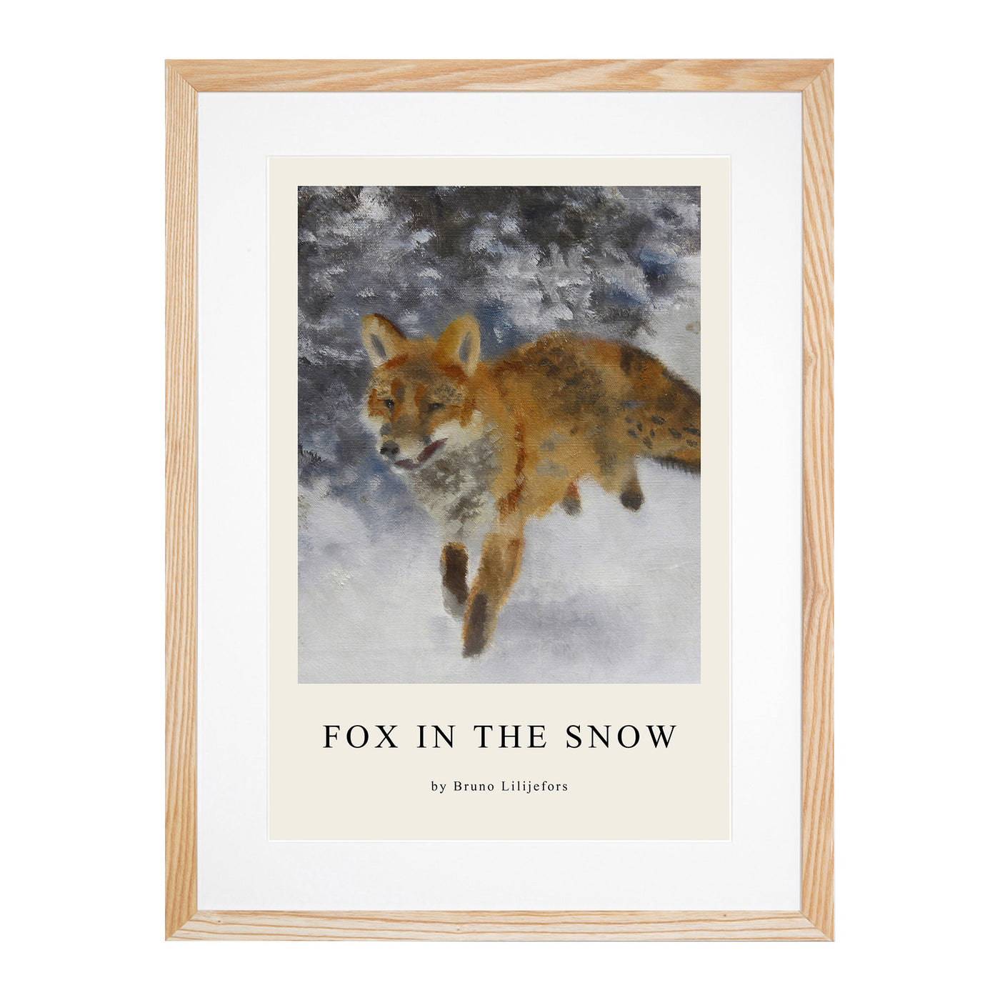 Fox In The Snow Vol.3 Print By Bruno Liljefors