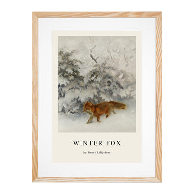 Fox In The Snow Vol.4 Print By Bruno Liljefors