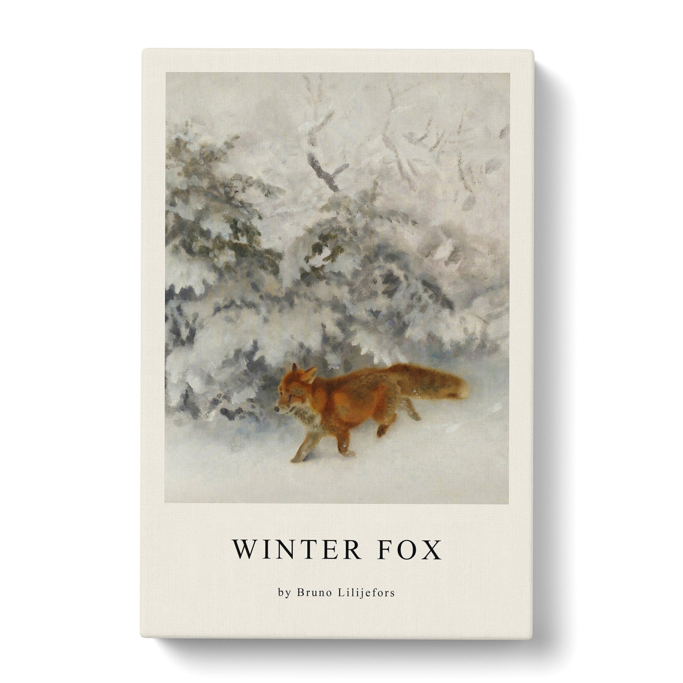 Fox In The Snow Vol.4 Print By Bruno Liljefors Canvas Print Main Image