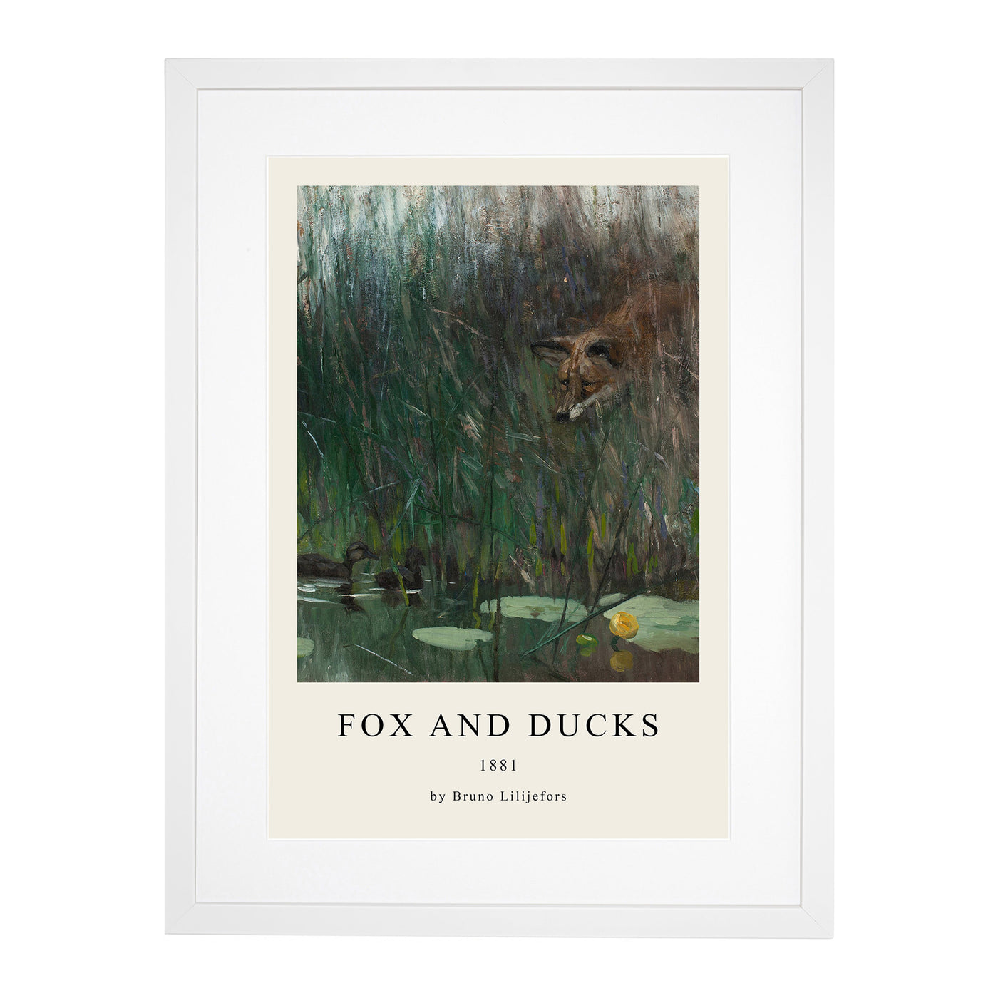 Fox Stalking Ducks Print By Bruno Liljefors