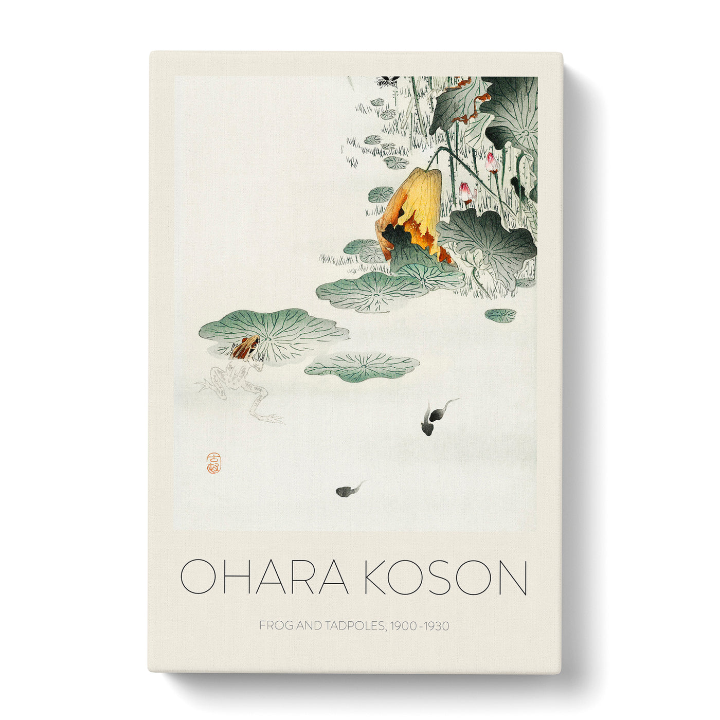 Frog & Tadpoles Print By Ohara Koson Canvas Print Main Image