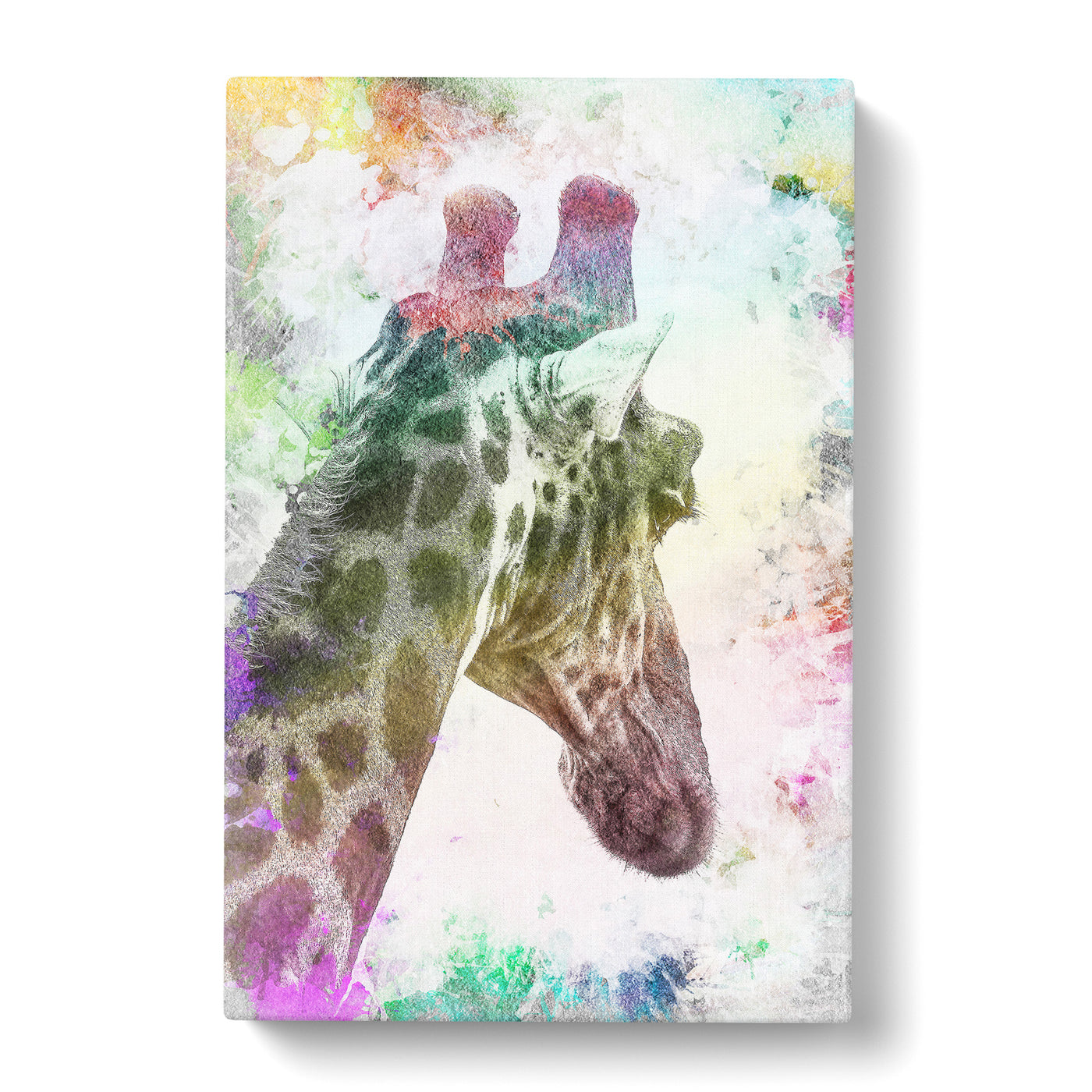 Giraffe Facing The Rainbow In Abstractcan Canvas Print Main Image