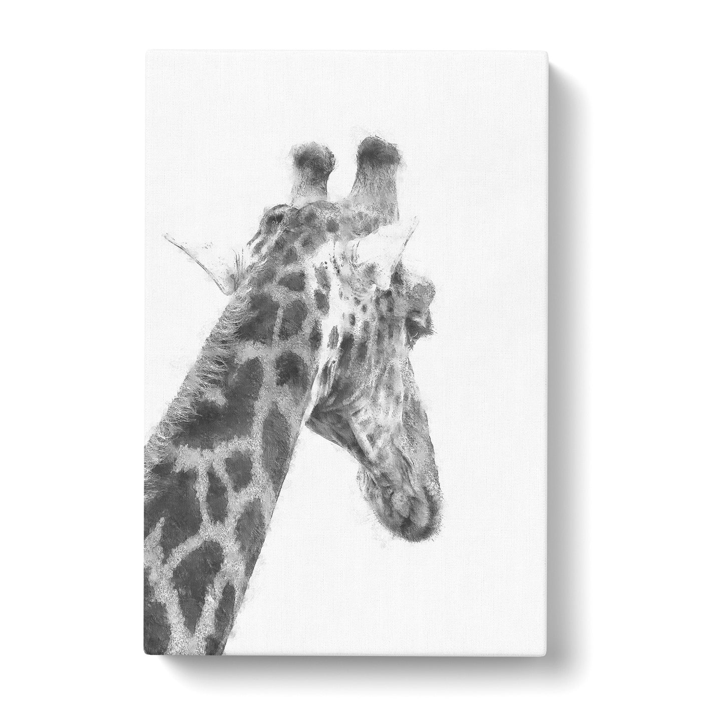 Giraffe Vol.5 Paintingcan Canvas Print Main Image