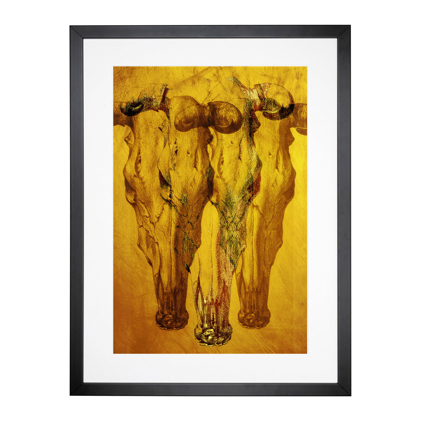 Gold Shade Of Skulls Framed Print Main Image