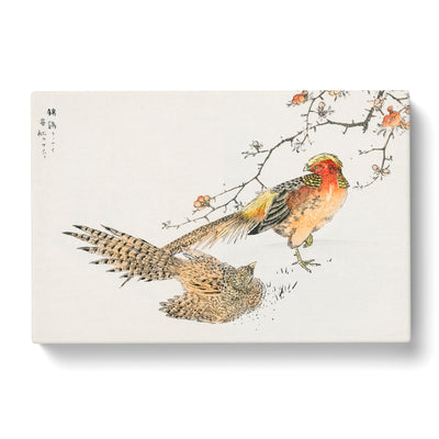 Golden Pheasant By Numata Kashu Canvas Print Main Image