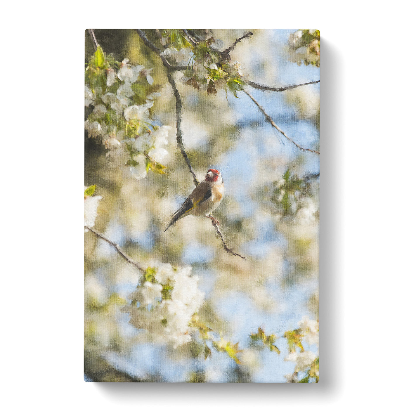 Goldfinch Bird In A Cherry Tree Painting Canvas Print Main Image