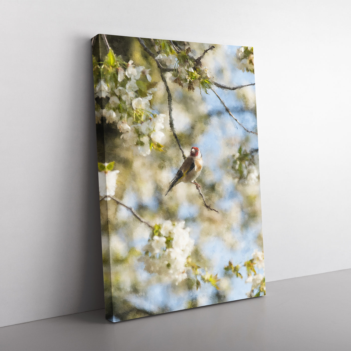 Goldfinch Bird In A Cherry Tree