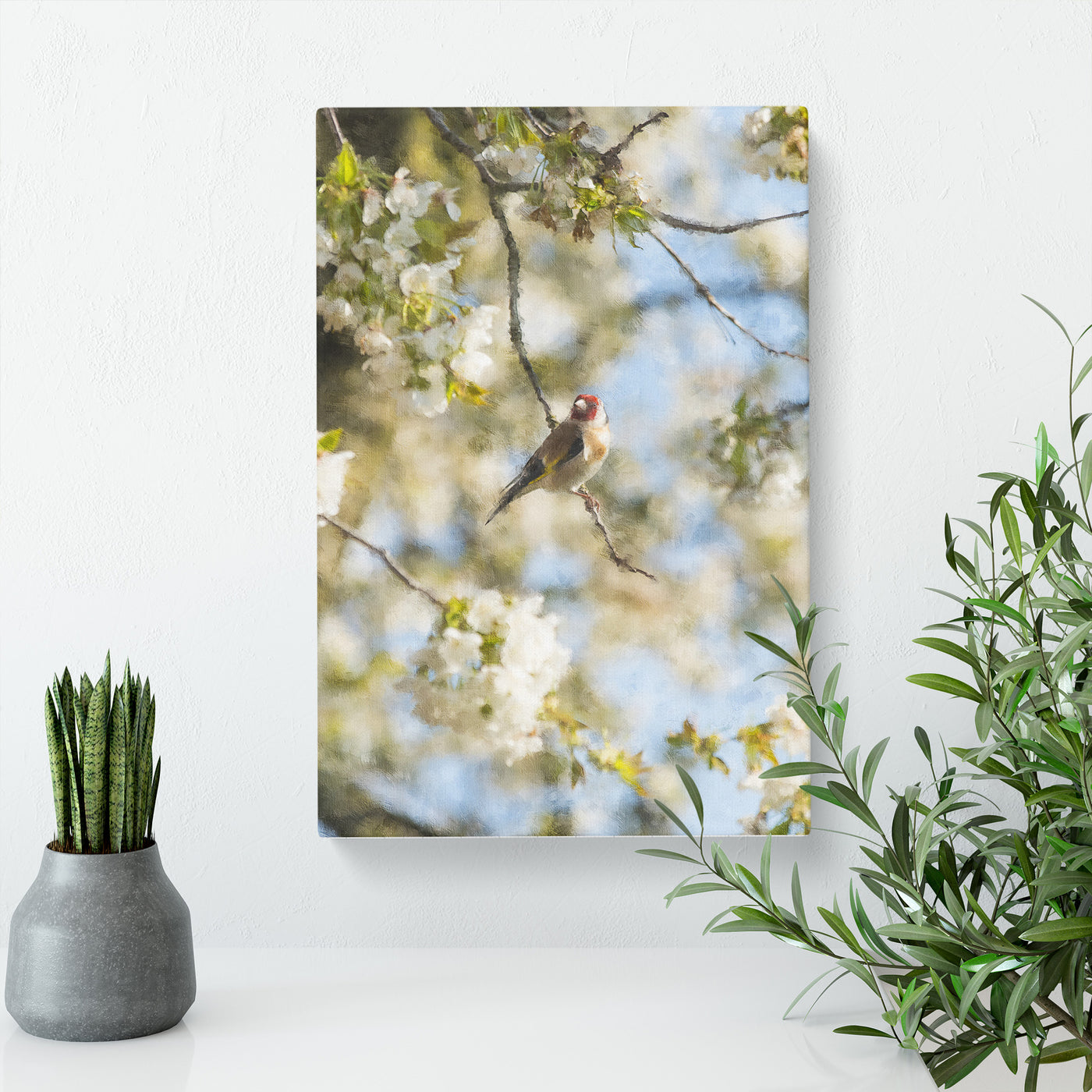 Goldfinch Bird In A Cherry Tree