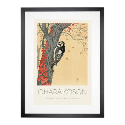 Great Spotted Woodpecker Print By Ohara Koson Framed Print Main Image