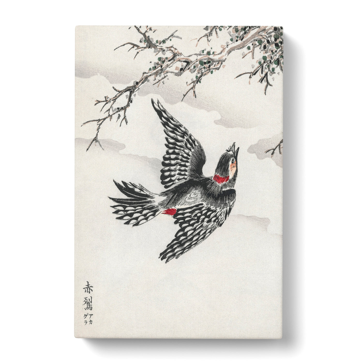 Great Spotted Woodpecker By Numata Kashu Canvas Print Main Image