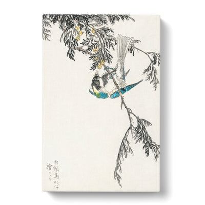 Great Tit Bird On A Cypress Tree By Numata Kashu Canvas Print Main Image