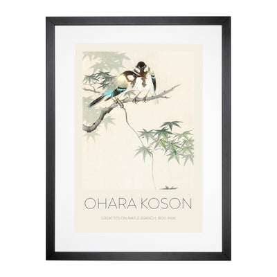 Great Tits In A Maple Tree Print By Ohara Koson Framed Print Main Image