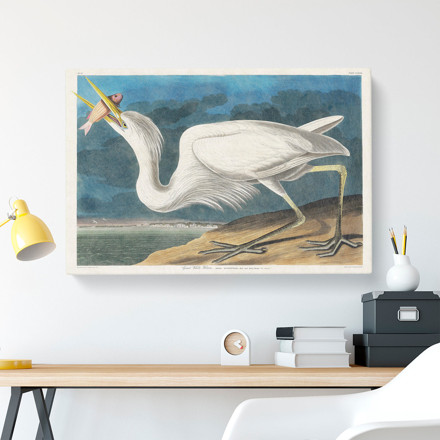 Great White Heron By John James Audubon