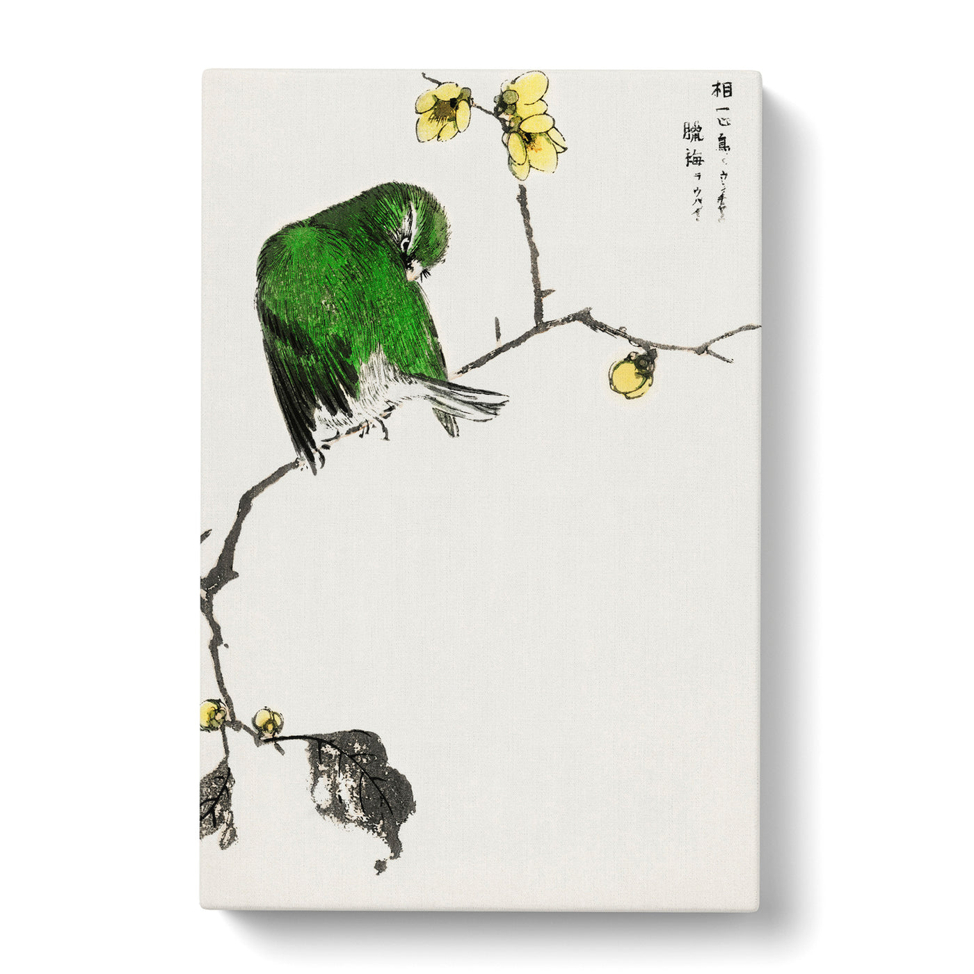 Green Fairy Pitta Bird By Numata Kashu Canvas Print Main Image