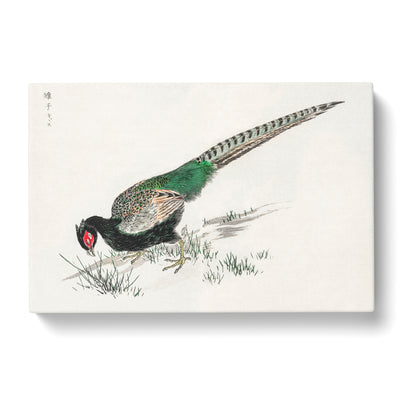 Green Pheasant By Numata Kashu Canvas Print Main Image