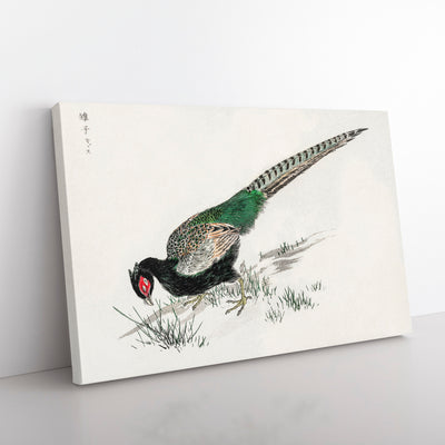 Green Pheasant By Numata Kashu