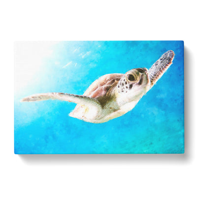 Green Turtle Paintingcan Canvas Print Main Image