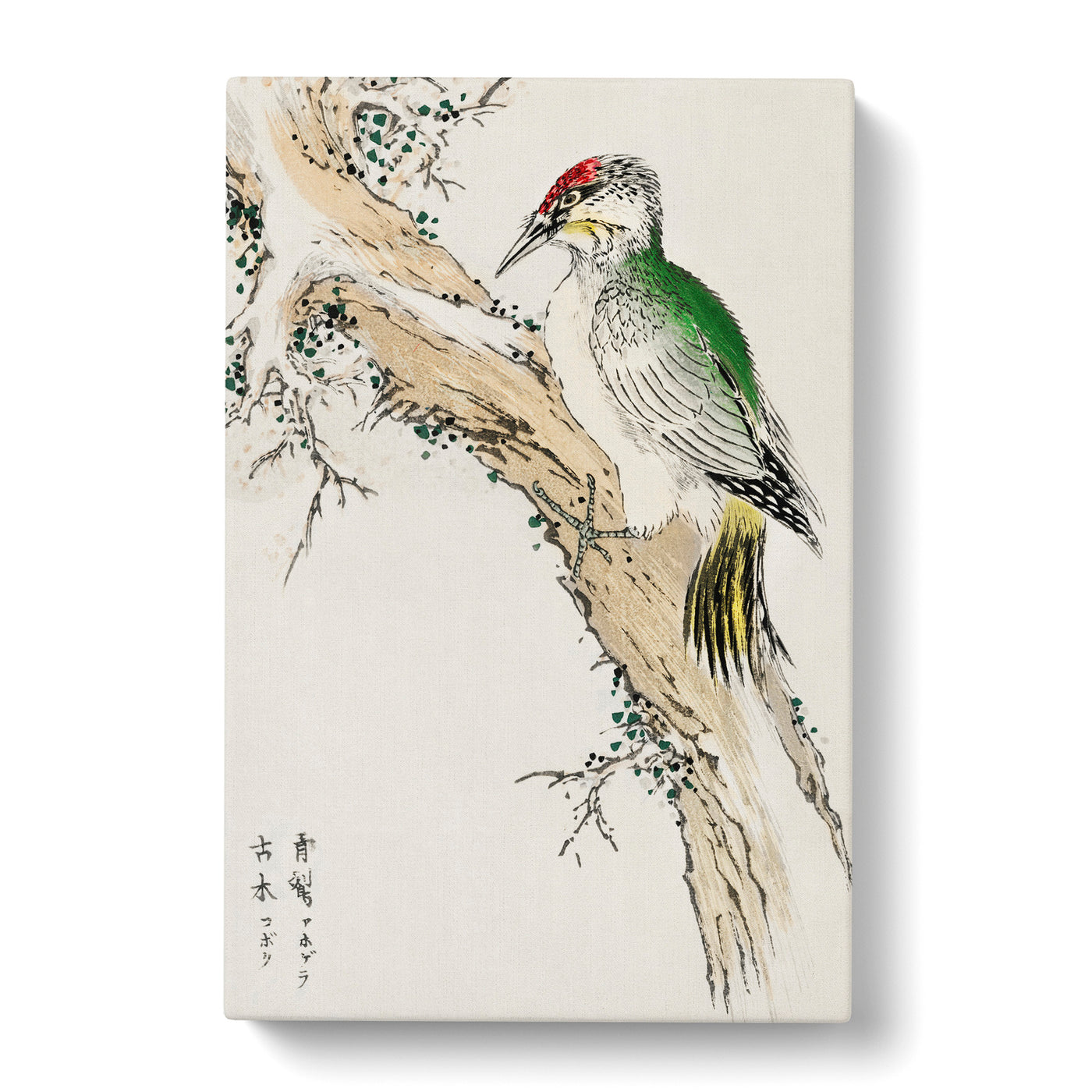 Green Woodpecker By Numata Kashu Canvas Print Main Image