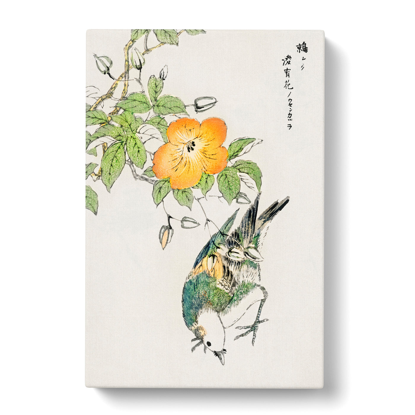 Grey Starling Bird By Numata Kashu Canvas Print Main Image