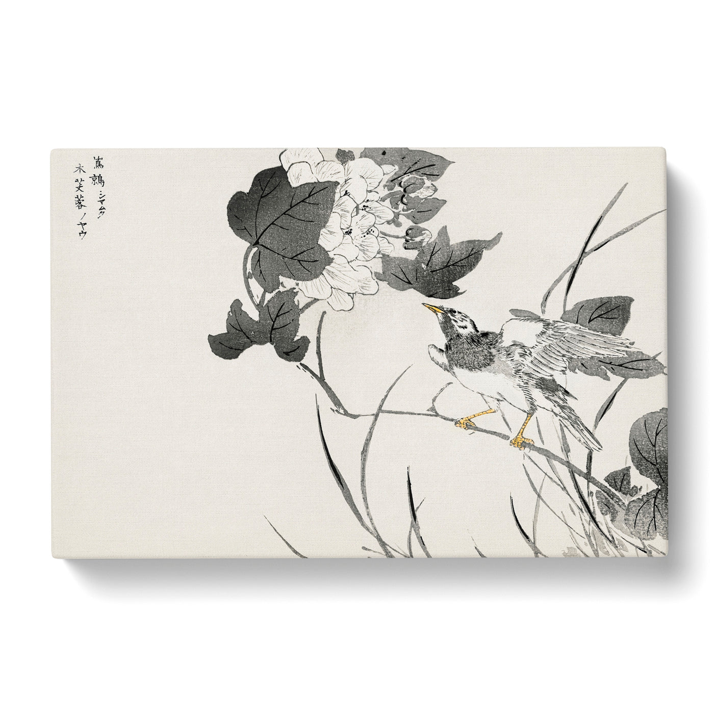 Grey Starling With White Lotus Flowers By Numata Kashu Canvas Print Main Image