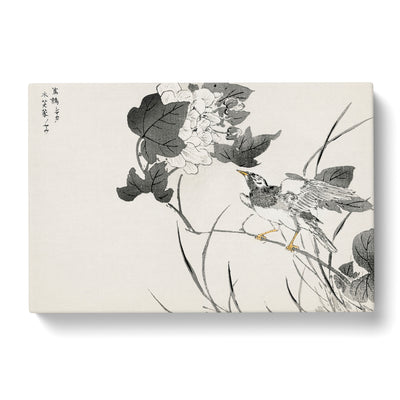 Grey Starling With White Lotus Flowers By Numata Kashu Canvas Print Main Image