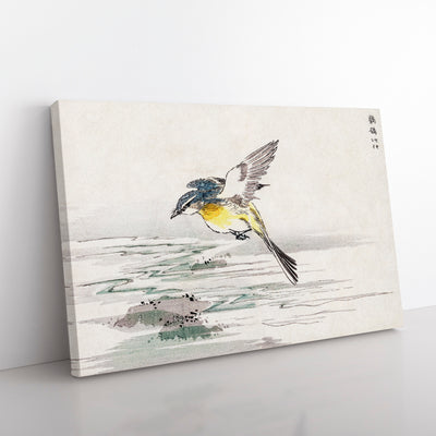 Grey Wagtail Bird By Numata Kashu