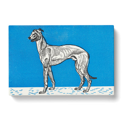 Greyhound Vol.1 Byx Moriz Jung Canvas Print Main Image