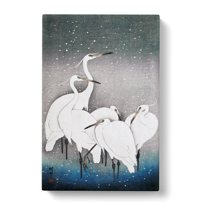 Group Of Egrets By Ohara Kosoncan Canvas Print Main Image