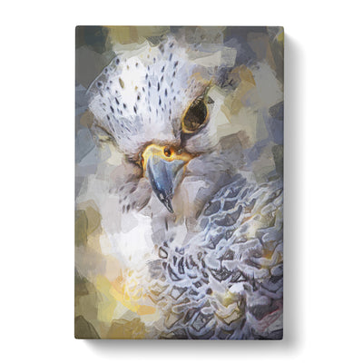 Hawk Bird In A Golden Light In Abstract Canvas Print Main Image