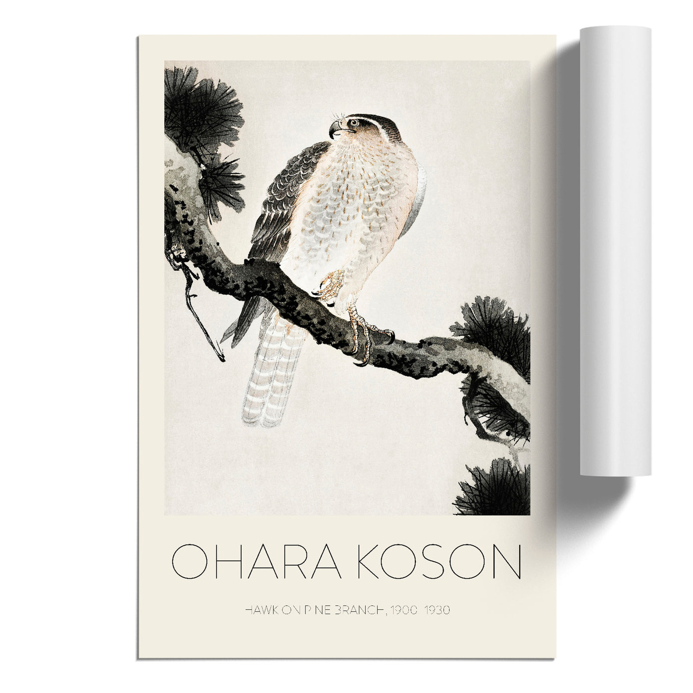 Hawk On A Pine Branch Print By Ohara Koson
