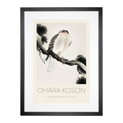 Hawk On A Pine Branch Print By Ohara Koson Framed Print Main Image