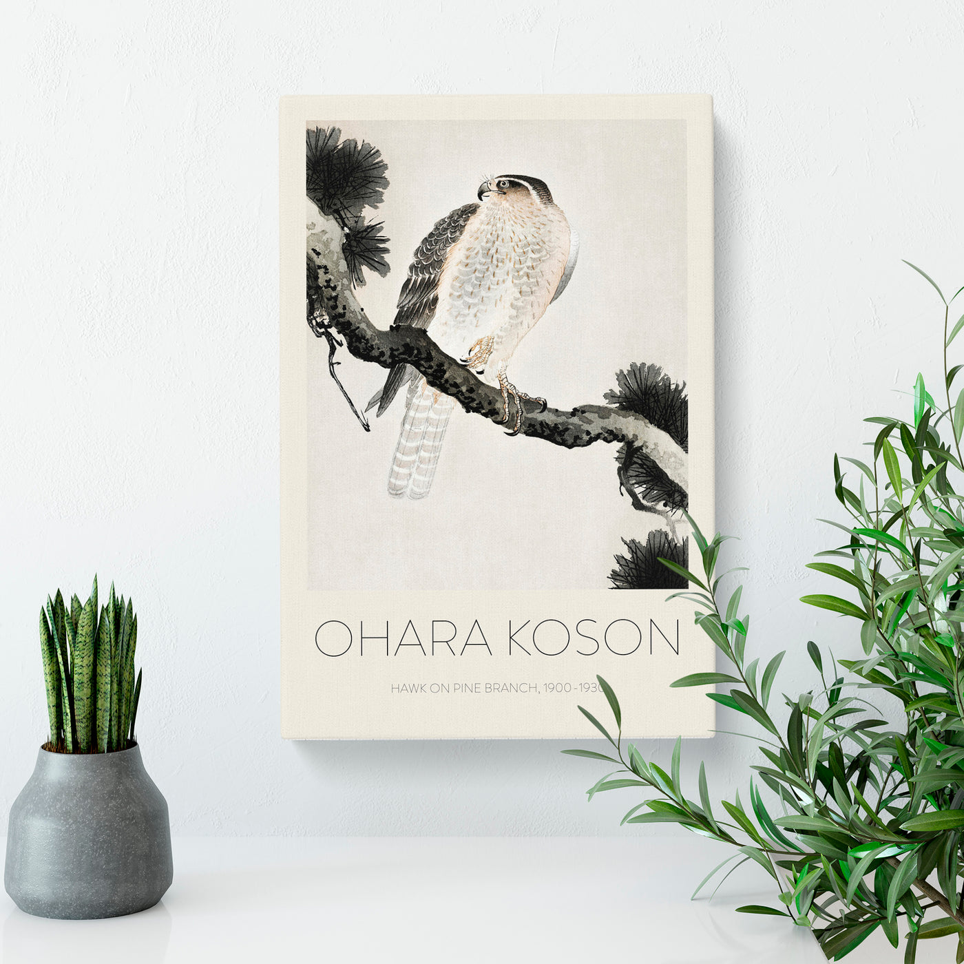 Hawk On A Pine Branch Print By Ohara Koson