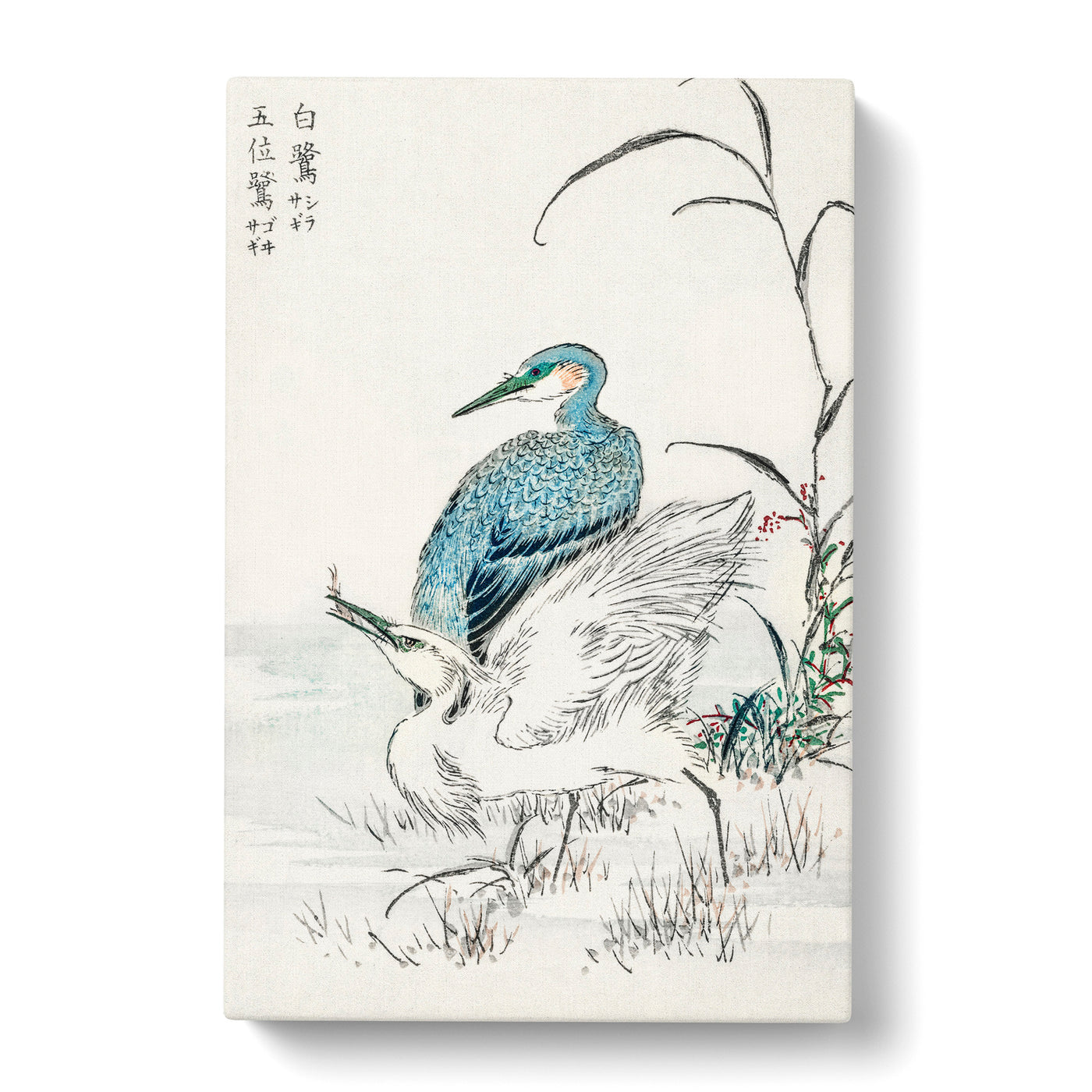 Heron & Egret By Numata Kashu Canvas Print Main Image