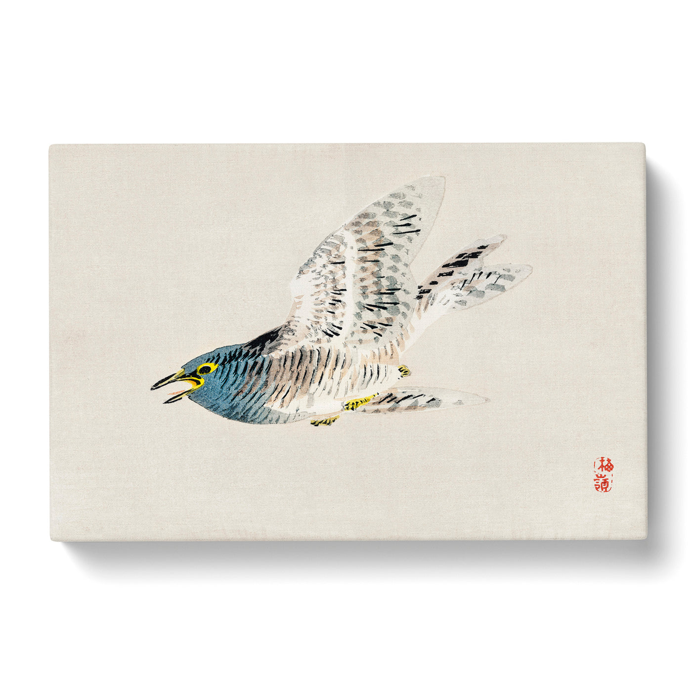 Herring Gull By Kono Baireir Canvas Print Main Image