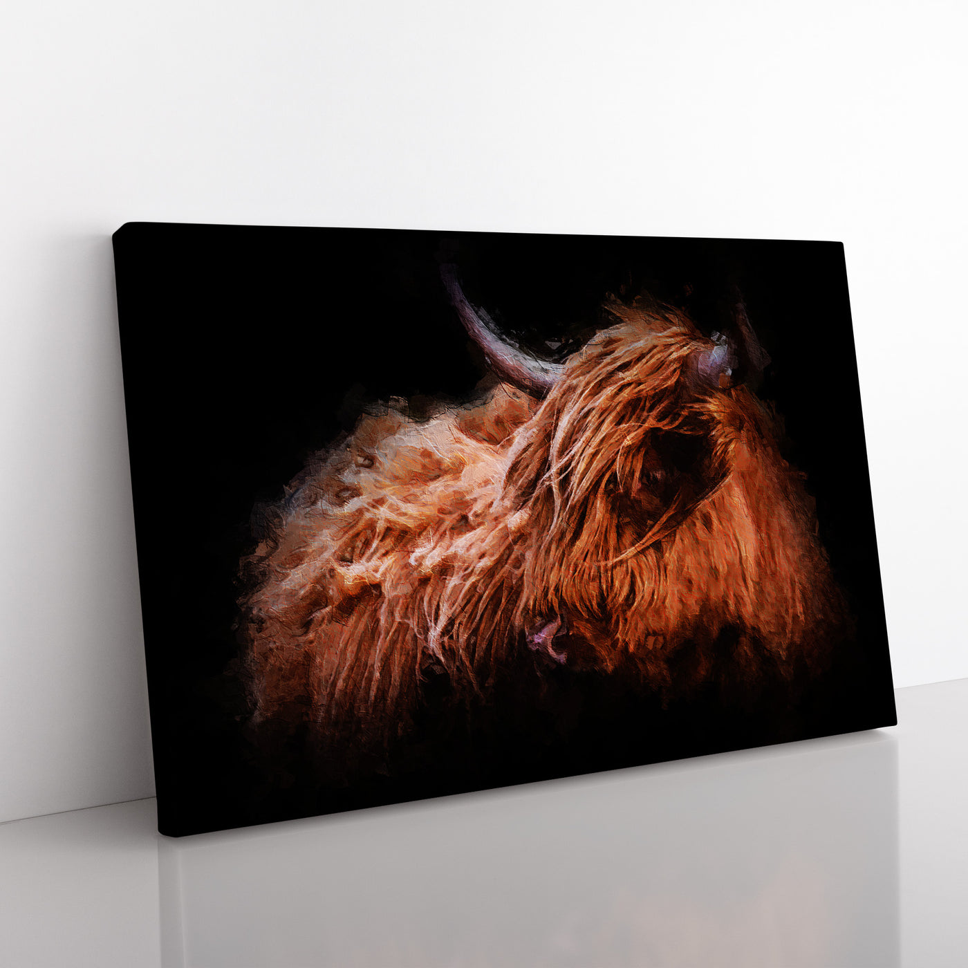 Highland Cow In The Shadows