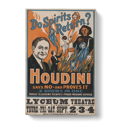 Houdinican Canvas Print Main Image