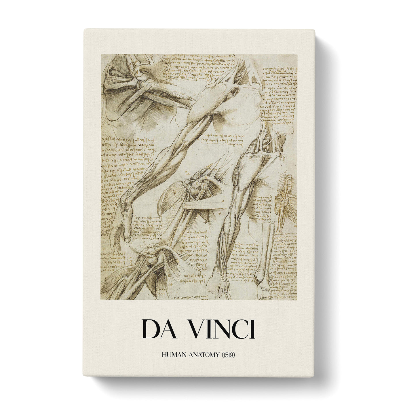 Human Anatomy Vol.1 Print By Leonardo Da Vinci Canvas Print Main Image