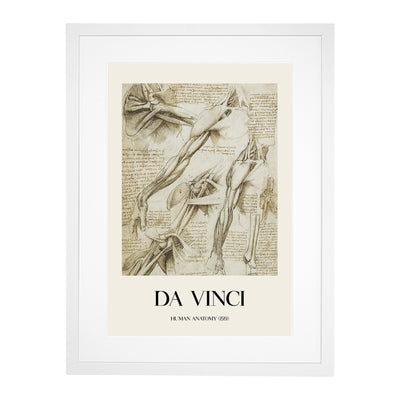 Human Anatomy Vol.1 Print By Leonardo Da Vinci