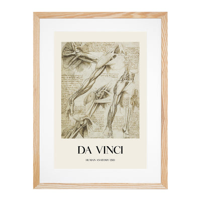 Human Anatomy Vol.1 Print By Leonardo Da Vinci