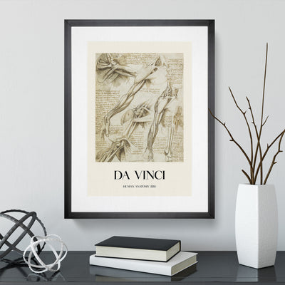 Human Anatomy Vol.1 Print By Leonardo Da Vinci