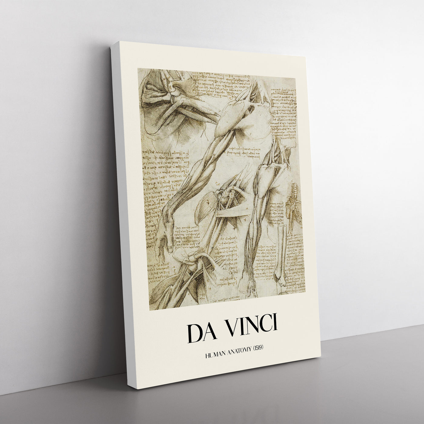 Human Anatomy Vol.1 Print By Leonardo Da Vinci