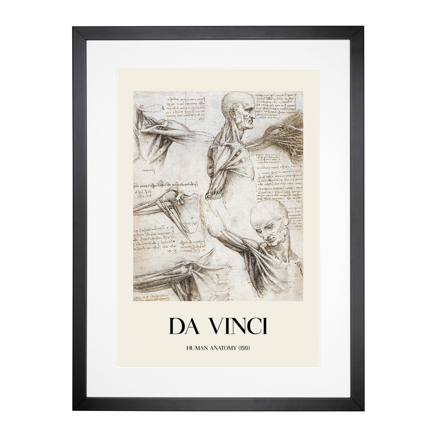 Human Anatomy Vol.3 Print By Leonardo Da Vinci Framed Print Main Image