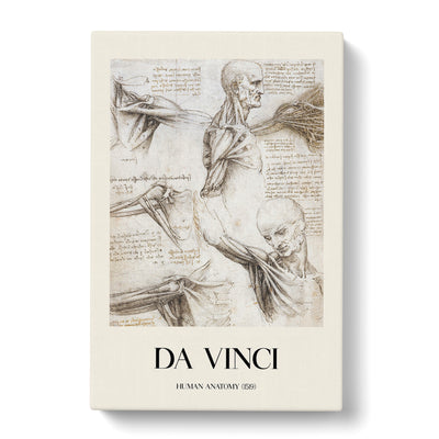 Human Anatomy Vol.3 Print By Leonardo Da Vinci Canvas Print Main Image